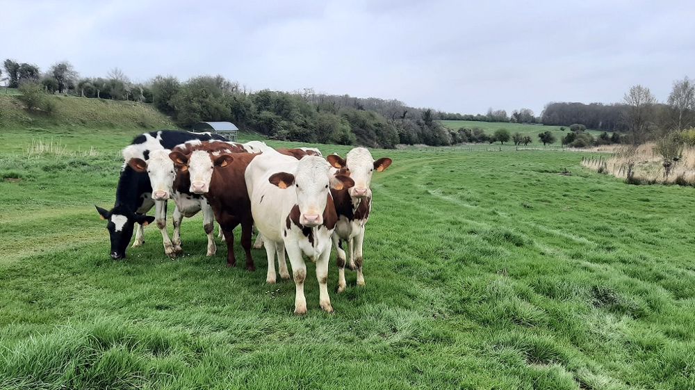 Et vous ? Depuis combien de temps êtes-vous installés ? Comment voyez-vous l'évolution du métier d'agriculteur ? (©Fotolia) (©@Agritof80/Twitter)
