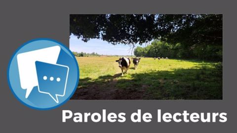  « Même lorsque l'herbe paraît verte, la pousse n'est pas forcément bonne », pointe Nelly Stoquert. (©Terre-net Média)