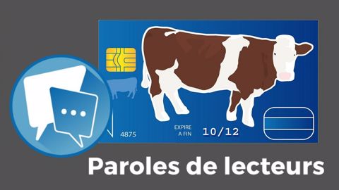 La flambée des charges en élevage inquiète de nombreux lecteurs de Web-agri. (©AdobeStock // Création Terre-net Média)