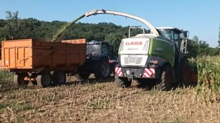 Lionel partage une photo de son premier chantier d'ensilage de maïs réalisé au 18 juillet 2022. (©Lionel Aussenac) Lionel partage une photo de son premier chantier d'ensilage de maïs réalisé au 18 juillet 2022. (©Lionel Aussenac)