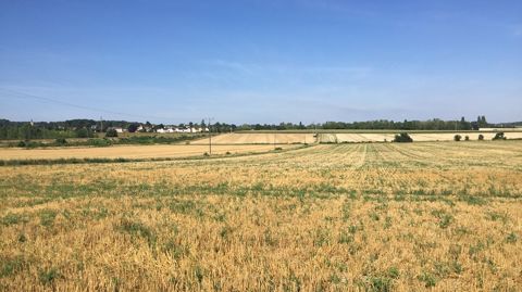 Paysage