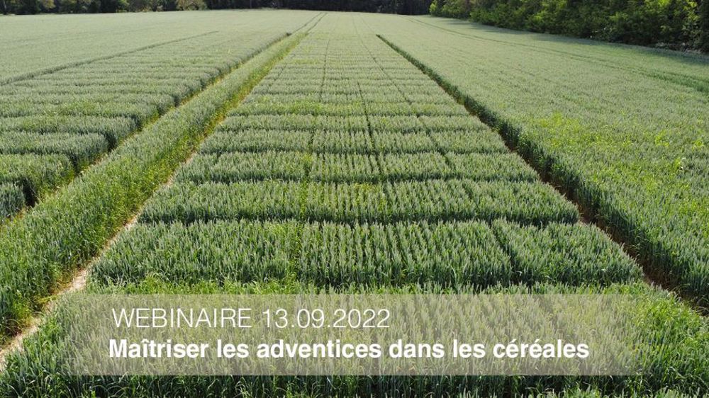 Inscrivez-vous rapidement au webinaire