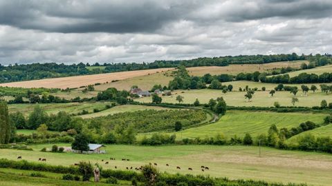 50 % des producteurs de grandes cultures sont aujourd'hui engagés dans des pratiques agroécologiques. (©Pixabay) 50 % des producteurs de grandes cultures sont aujourd'hui engagés dans des pratiques agroécologiques. (©Pixabay)