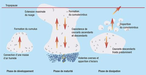 Schéma simplifié des différentes phases de vie d’une cellule orageuse