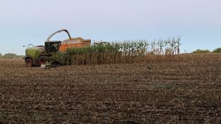 Et chez vous, comment s'est passé l'ensilage ? Dites-nous en commentaires. (©Terre-net Média) Et chez vous, comment s'est passé l'ensilage ? Dites-nous en commentaires. (©Terre-net Média)