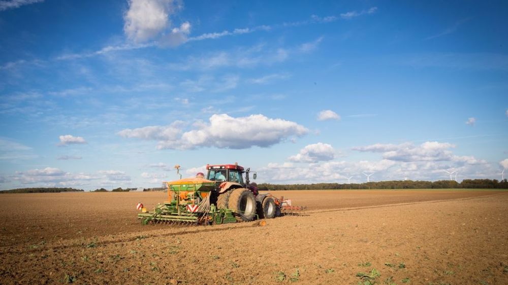 Pluie ou sec pour les semis de céréales ? (©Nadège Petit @agri_zoom.)