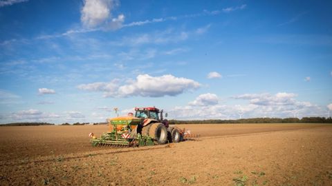 Pluie ou sec pour les semis de céréales ? (©Nadège Petit @agri_zoom.) Pluie ou sec pour les semis de céréales ? (©Nadège Petit @agri_zoom.)