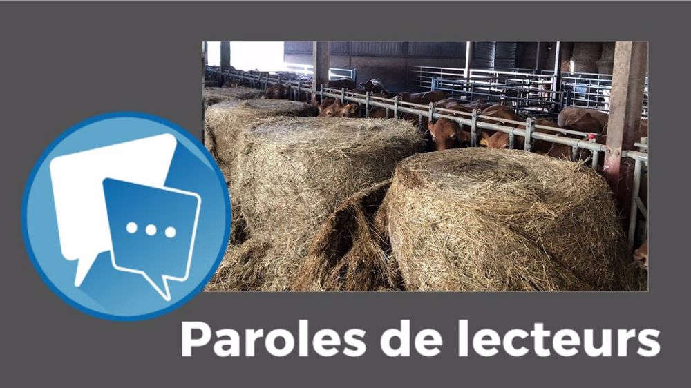 N'hésitez pas à partager vos idées et solutions, en commentant cet article. (©Élevage Marre // Création Terre-net Média)