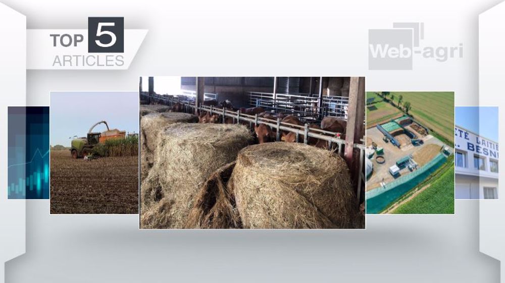 Articles les plus lus sur Web-agri cette semaine. (©Terre-net Média