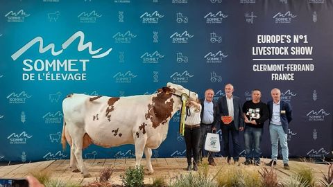 Onctueuse est la grande championne du concours Montbéliarde Onctueuse est la grande championne du concours Montbéliarde