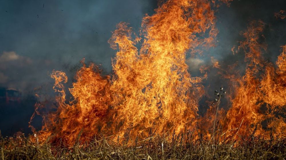 L'État et le conseil départemental du Finistère ont lancé un vaste programme d'action pour restaurer le massif des monts d'Arrée, après les incendies ravageurs de l'été 2022. (©Pixabay)