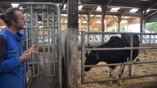 Les vaches, équipées d’une boucle électronique, passent devant un panneau d’identification et sont triées, celles qui doivent être isolées sont acheminées à droite. (©Antoine Humeau) Les vaches, équipées d’une boucle électronique, passent devant un panneau d’identification et sont triées, celles qui doivent être isolées sont acheminées à droite. (©Antoine Humeau)