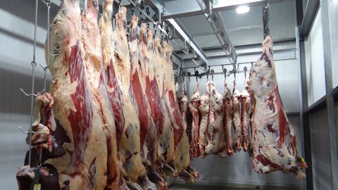 Dans certaines régions, les abatteurs sont contraints de diminuer les amplitudes de fonctionnement des chaînes de production pour faire face à la baisse du cheptel bovin. (© Pixabay) Dans certaines régions, les abatteurs sont contraints de diminuer les amplitudes de fonctionnement des chaînes de production pour faire face à la baisse du cheptel bovin. (© Pixabay)