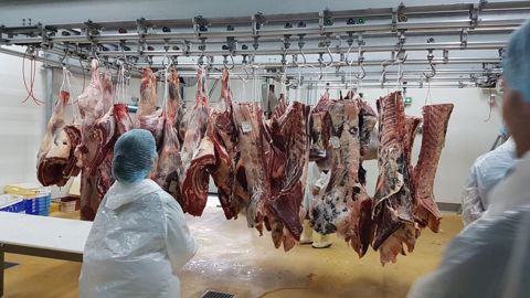 Un abattoir qui se veut « exemplaire » inauguré près de Bordeaux