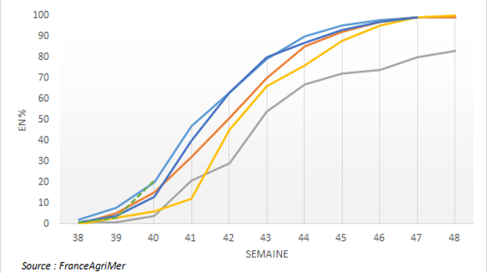 Les semis de blé tendre avancent à très bon rythme.