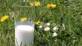 Même si les exploitations laitières bio sont moins sensibles à l'inflation qu'en conventionnel, la stagnation du prix du lait bio ne permet pas de compenser la hausse des charges (©Pixabay) Même si les exploitations laitières bio sont moins sensibles à l'inflation qu'en conventionnel, la stagnation du prix du lait bio ne permet pas de compenser la hausse des charges (©Pixabay)