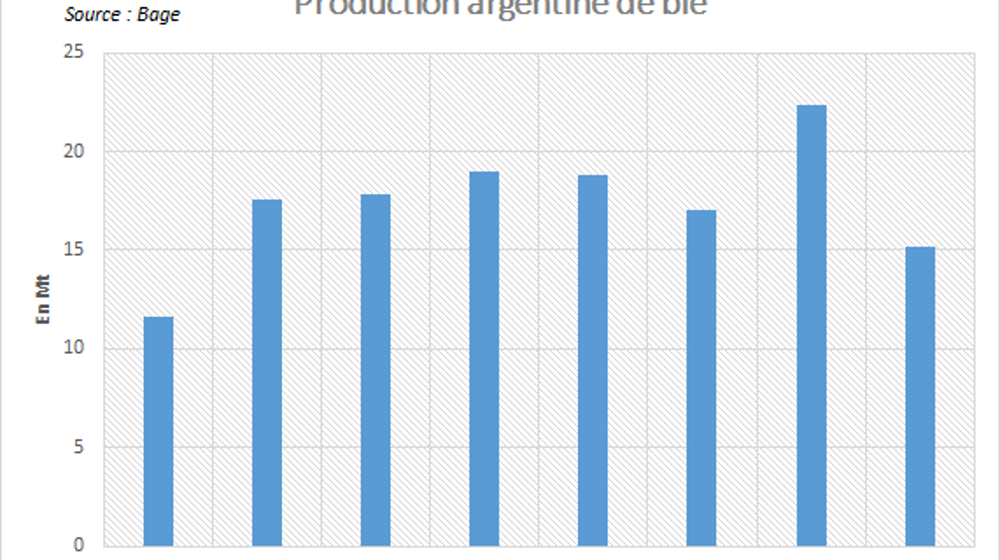 La Bourse de commerce de Buenos Aires annonce une chute de la production argentine de blé. La Bourse de commerce de Buenos Aires annonce une chute de la production argentine de blé.