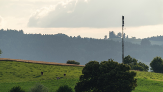 Depuis l'installation de l'antenne relais, la production de lait a baissé de 15 à 20 %. (©Adobe Stock) Depuis l'installation de l'antenne relais, la production de lait a baissé de 15 à 20 %. (©Adobe Stock)