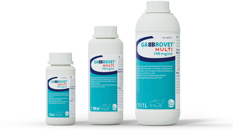 Gabbrovet multi : un traitement contre la crypto et les diarrhées à E. coli