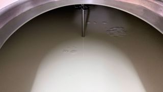 À combien s'élève votre prix du lait actuellement ? En êtes-vous satisfait ? Quel prix attendez-vous pour une meilleure rémunération de votre travail ? (©Terre-net Média) À combien s'élève votre prix du lait actuellement ? En êtes-vous satisfait ? Quel prix attendez-vous pour une meilleure rémunération de votre travail ? (©Terre-net Média)