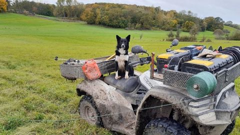 Organisation du pâturage Pose de clôture en système de pâturage tournant dynamique