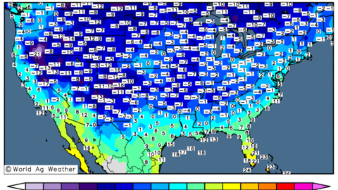 Les blés d'hiver US sont touchés par des températures négatives. (©WorldAgWeather)