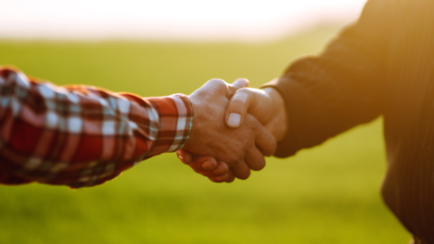 La loi Besson-Moreau, dite "Egalim 2", rend obligatoire la contractualisation entre les éleveurs de bovins et leurs premiers acheteurs (©AdobeStock) La loi Besson-Moreau, dite "Egalim 2", rend obligatoire la contractualisation entre les éleveurs de bovins et leurs premiers acheteurs (©AdobeStock)