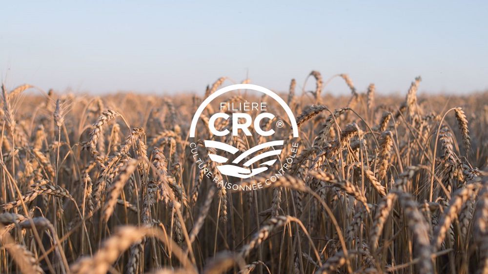 Près de 3 300 agriculteurs sont aujourd'hui engagés dans la démarche CRC. (©Filière CRC)