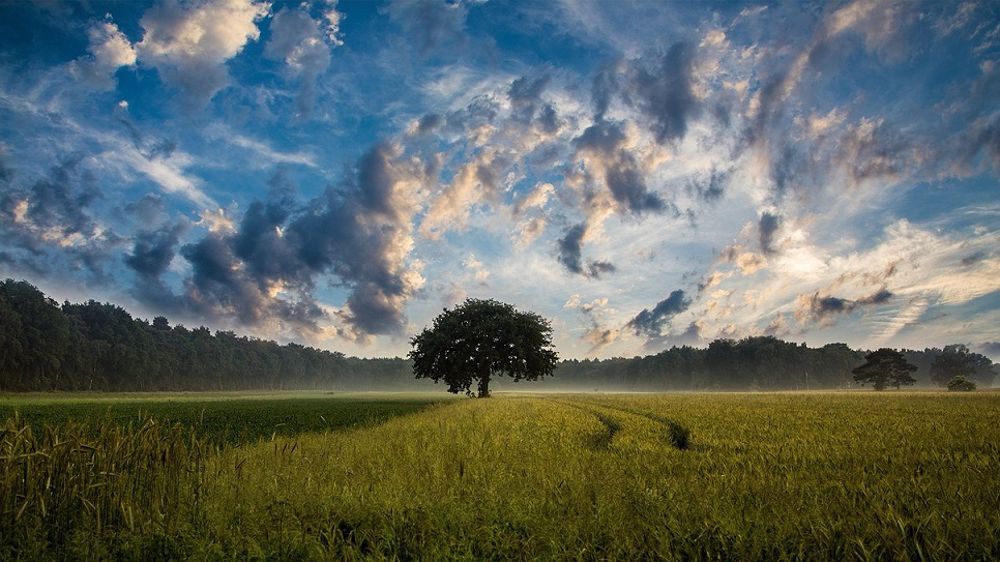 La voix B d'accès à la HVE est supprimée. (©Pixabay)