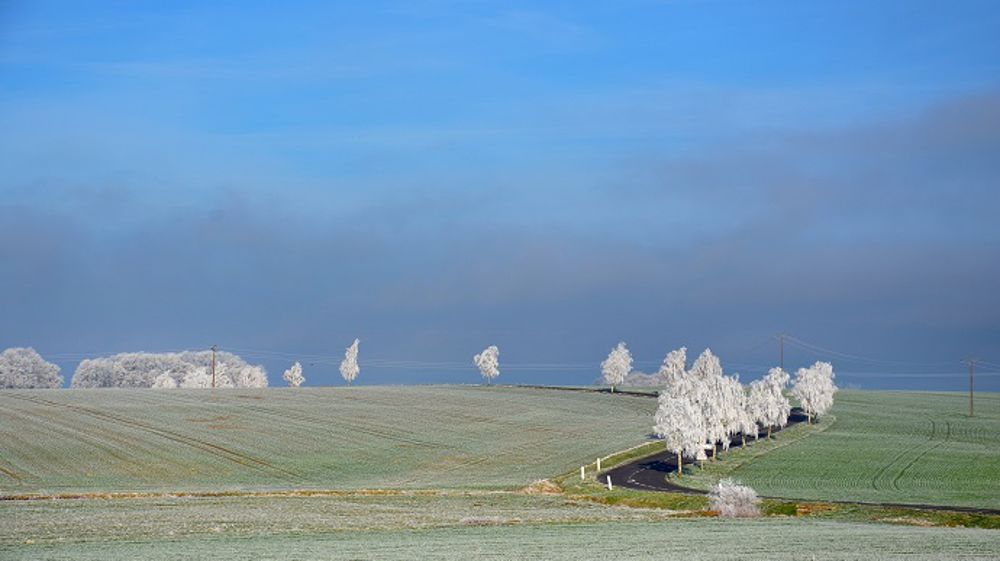 L'arrivée d'une vague de froid préoccupe les producteurs européens. (©WorldAgWeather - Pixabay)