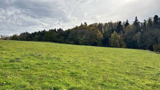 22 % de la production annuelle d'herbe enregistrée sur les deux derniers mois 22 % de la production annuelle d'herbe enregistrée sur les deux derniers mois