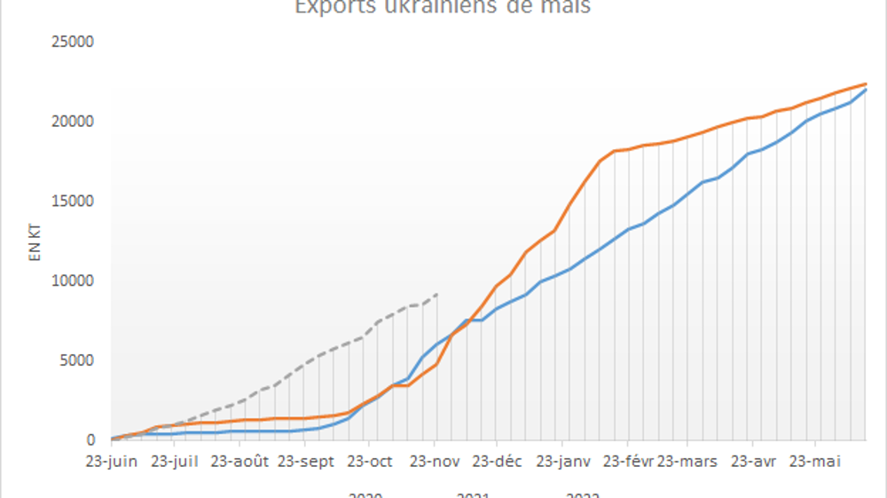 Les exportations ukrainiennes de maïs enregistrent une nette avance par rapport à l'an dernier.