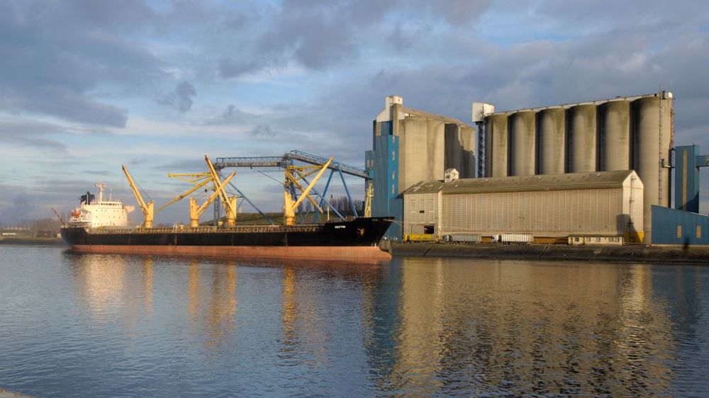 FranceAgriMer estime à 17,15 Mt les exports français de blé tendre sur la campagne 2022/23, dont 10,3 Mt vers les pays tiers et 6,73 vers l’UE. (©AdobeStock)