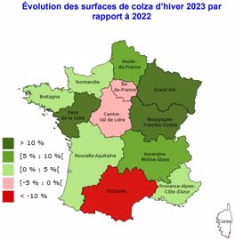Evolution des surfaces de colza 2023, par rapport à 2022, selon Agreste.