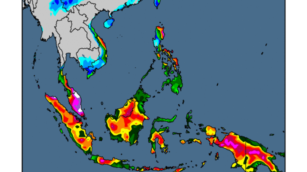 Les averses continuent d'entraver la production de palme en Asie du Sud-Est. (©WorldAgWeather)