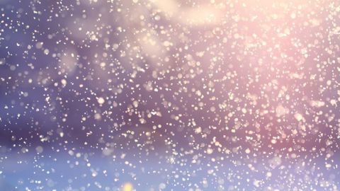 La vague de froid qui frappe le Midwest risque d'endommager le blé d'hiver américain, ce qui provoque une hausse des prix (©Pixabay)