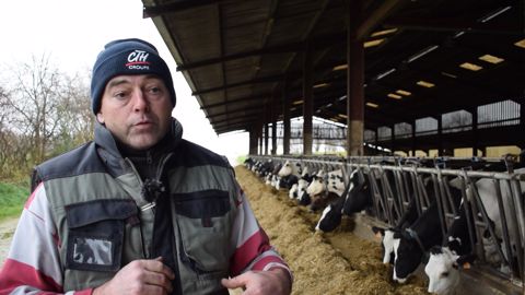 Du soja et de la féverole toastés dans la ration des vaches laitières Du soja et de la féverole toastés dans la ration des vaches laitières