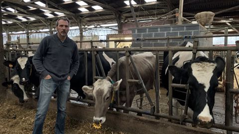 L'agriculteur de l'Aisne a remplacé la vente de reproducteurs par la vente de bœufs (©Terre-net Média)