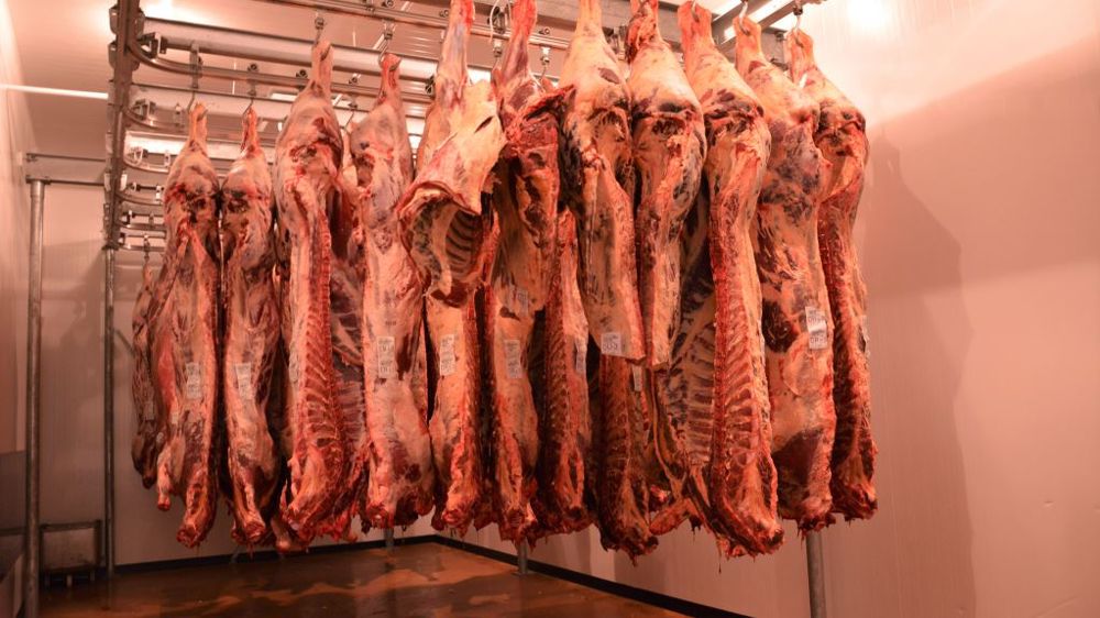 Les cotations de la viande bovine ont grimpé tout au long de l'année 2022, toutes catégories confondues, notamment en lien de la baisse du cheptel. (©Terre-net Média)