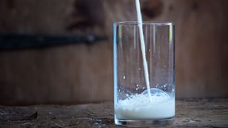 Si le lait et les produits laitiers artificiels arrivent dans les rayons demain, qu'en sera-t-il du lait de vache ? (©Terre-net Média) Si le lait et les produits laitiers artificiels arrivent dans les rayons demain, qu'en sera-t-il du lait de vache ? (©Terre-net Média)