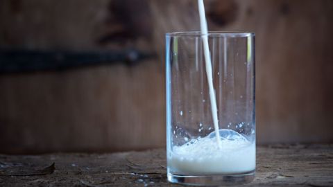Si le lait et les produits laitiers artificiels arrivent dans les rayons demain, qu'en sera-t-il du lait de vache ? (©Terre-net Média)