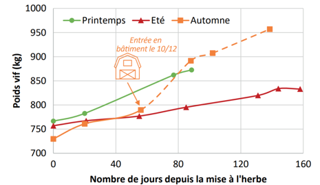 Evolution du poids vif entre la mise à l'herbe et l'abattage selon la saison de pâturage