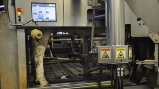 Les données des robots de traite, connectés à internet, peuvent également être en proie au piratage informatique. (©Terre-net Média)