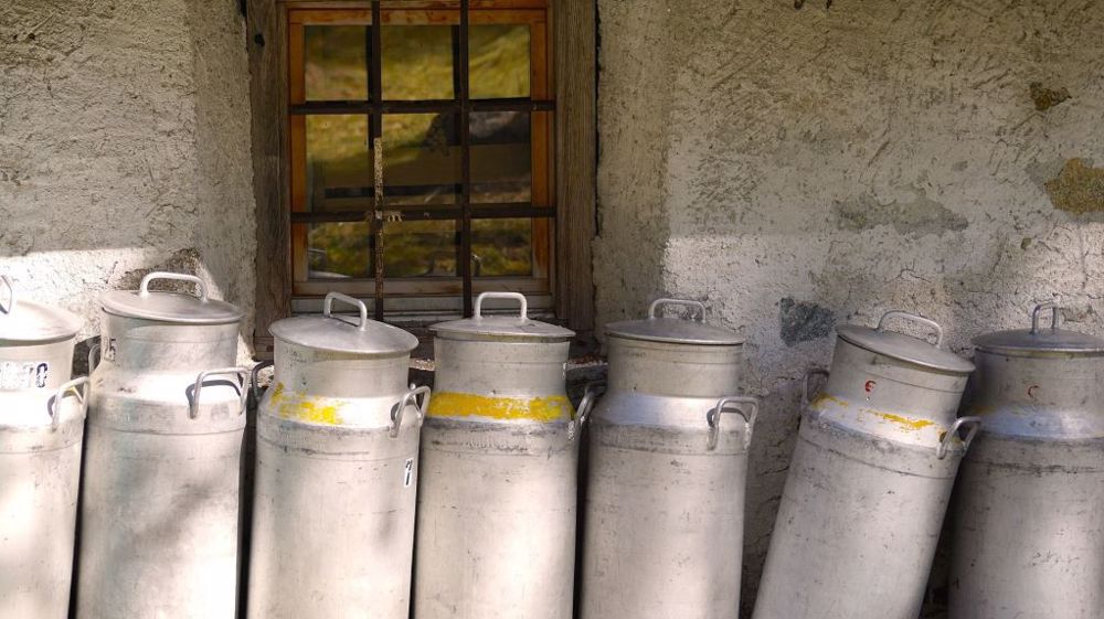 Le prix du lait cru en France en décembre 2022 est évalué à 489 €/t, contre 399,3 €/t un an plus tôt. (©Pixabay)