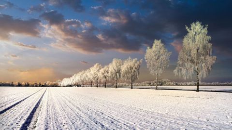 Une couverture neigeuse protectrice recouvre les cultures russes. (©Pixabay) Une couverture neigeuse protectrice recouvre les cultures russes. (©Pixabay)