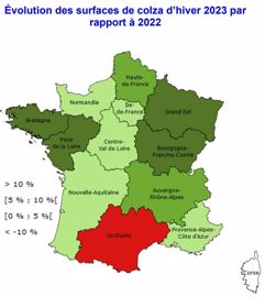 Evolution des surfaces de colza d'hiver 2023, par rapport à 2022