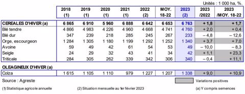 Estimations des surfaces au 1er février 2023