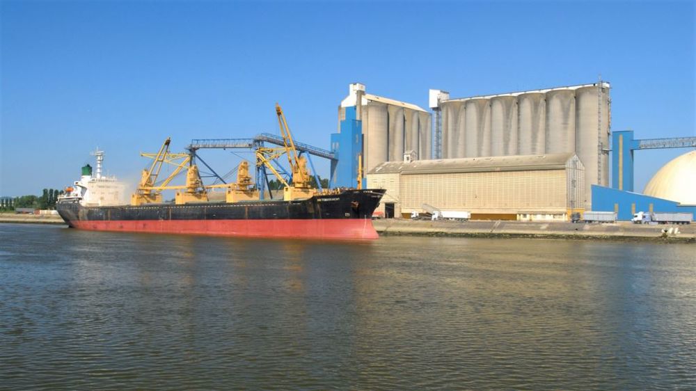 La France a exporté 220 000 t d'orge en Chine en janvier, et 100 000 t en février (<a href="https://stock.adobe.com/fr/contributor/208628952/s-leitenberger?load_type=author&prev_url=detail" target="_blank">©S. Leitenberger</a> - Stock.adobe.com )