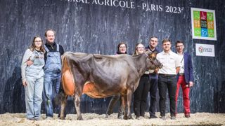 Jers'Hys kyara, grande championne de la race Jersiaise Jers'Hys kyara, grande championne de la race Jersiaise