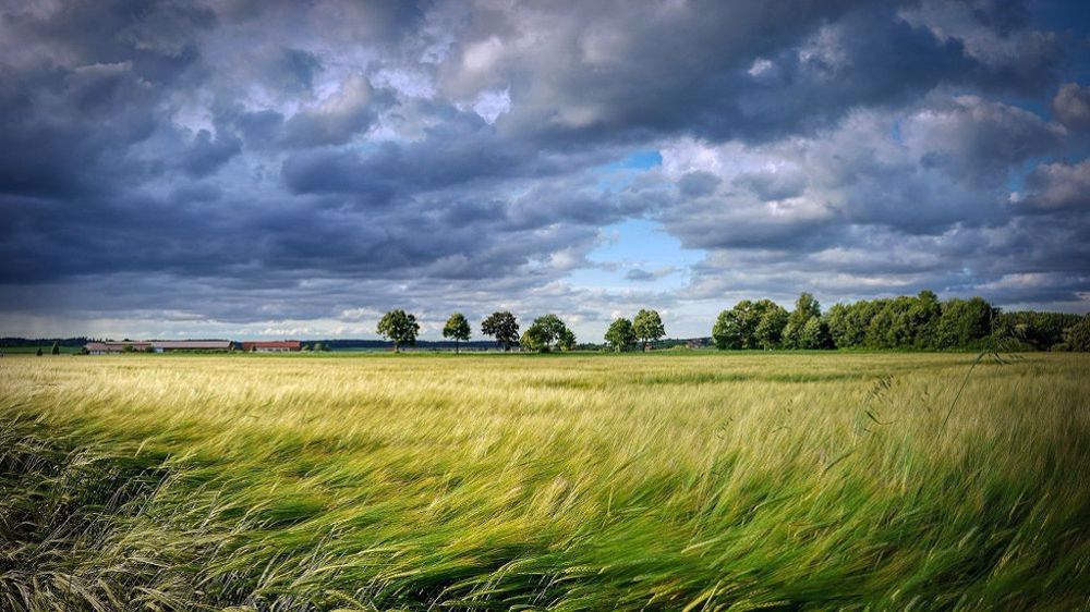 Fin 2021 en France, 31 % des surfaces cultivées étaient assurées, mais seulement 1,2 % pour les prairies et 3 % pour l'arboriculture. (©Pixabay)